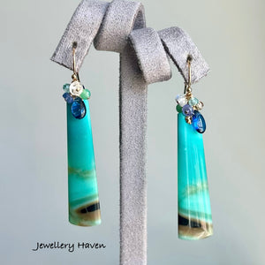 Blue opalised petrified wood earrings