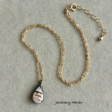 Load image into Gallery viewer, Fossilised wrasse pendant necklace (oxidised silver and 14k gold filled)