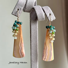 Load image into Gallery viewer, Crazy lace agate earrings