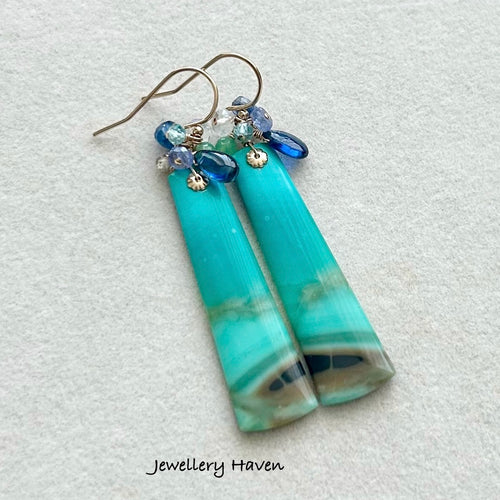 Blue opalised petrified wood earrings